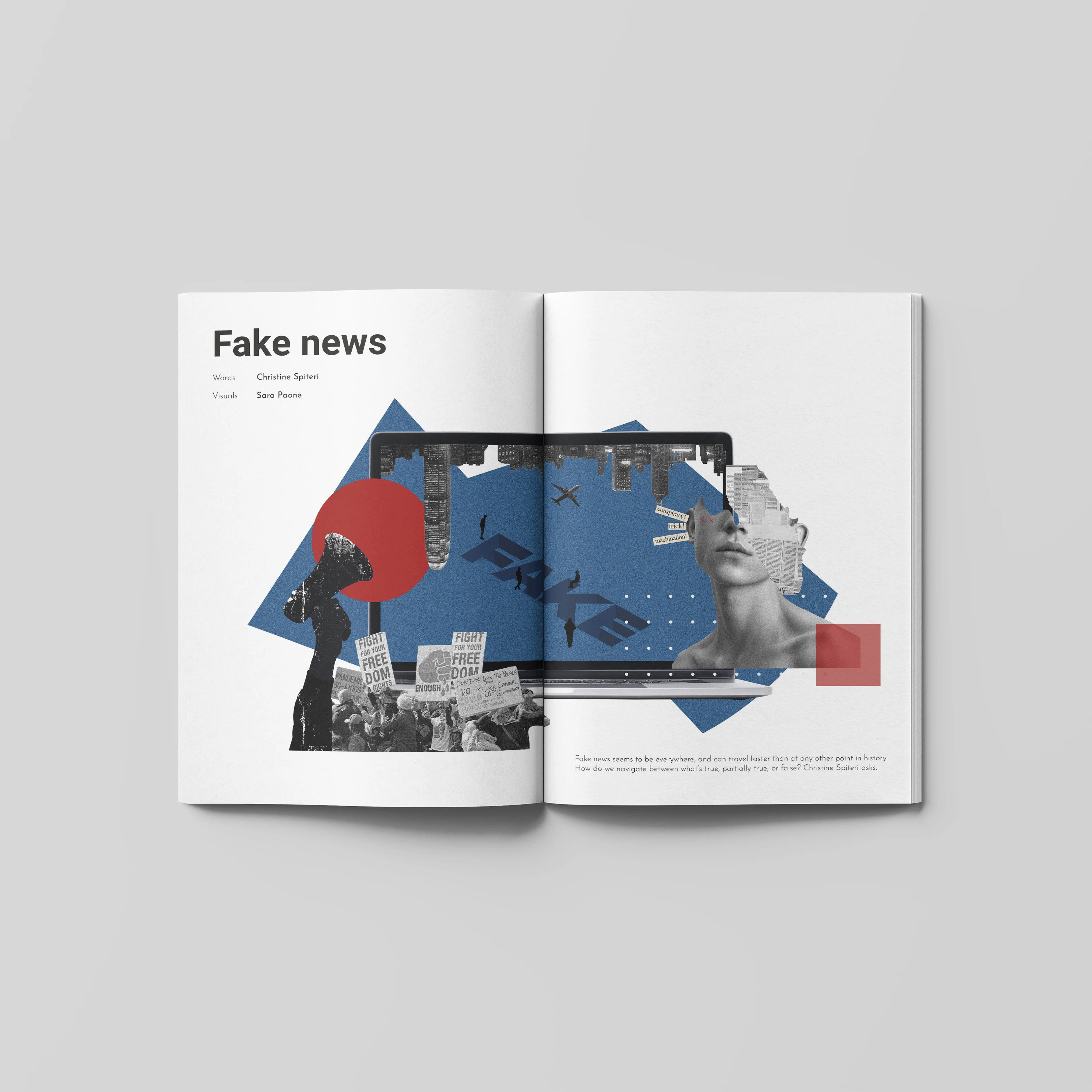 "Fake News" - article cover - written by Christine Spiteri