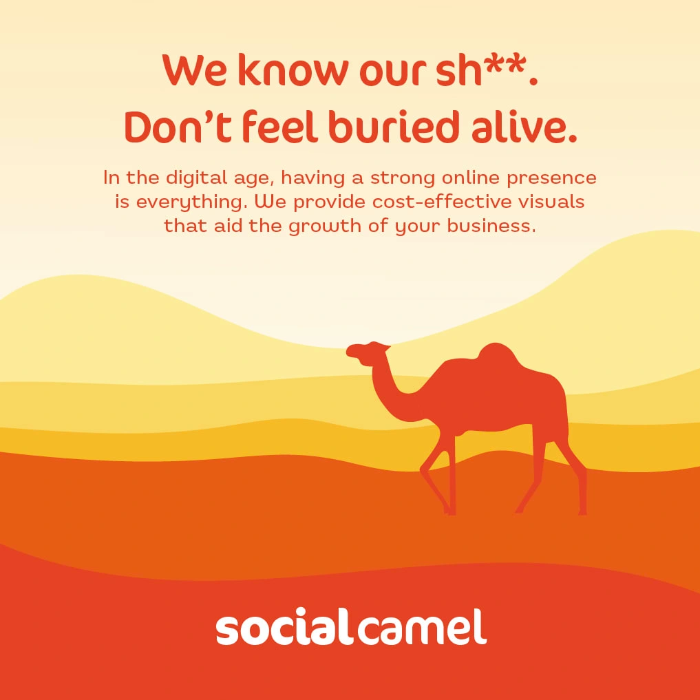 Social Camel - Website graphic