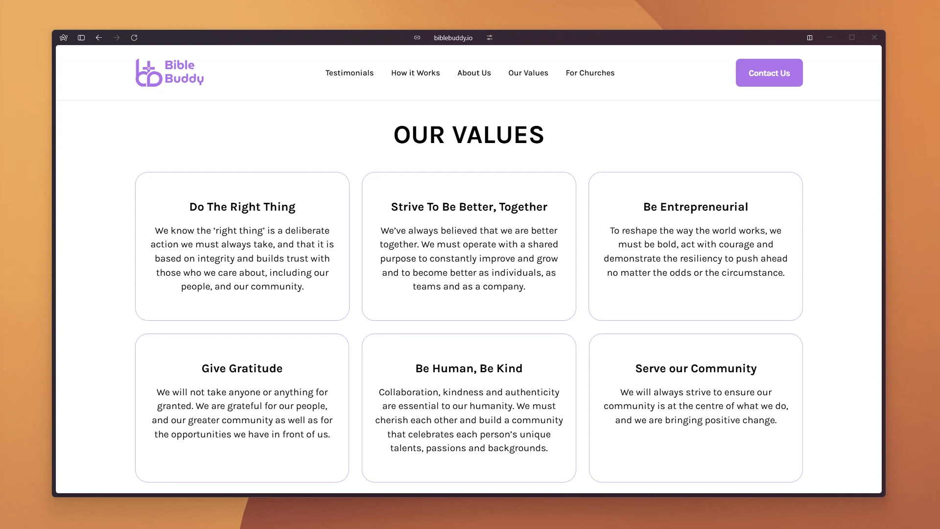 Our Values Section