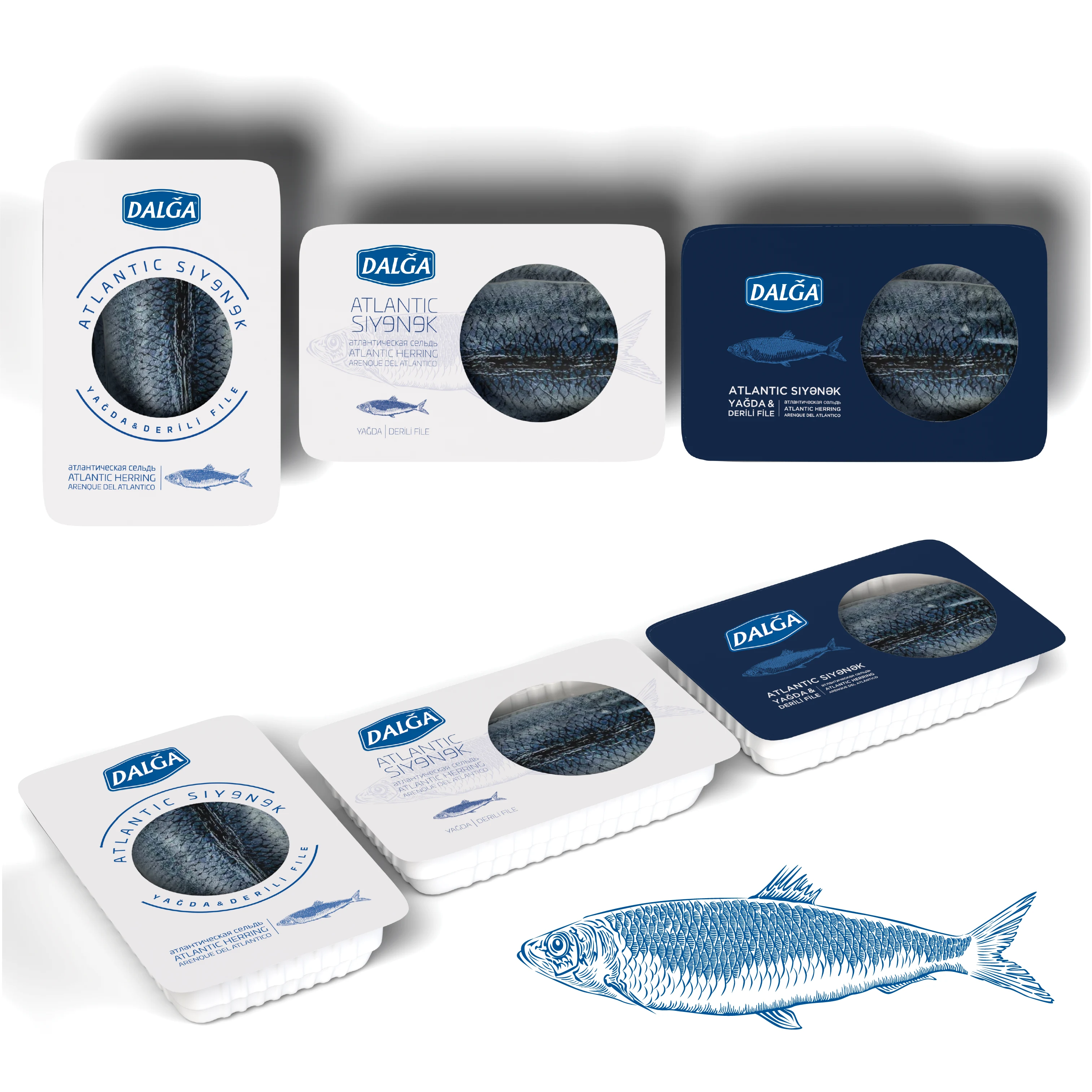 Illustration and Packaging Design for Seafood