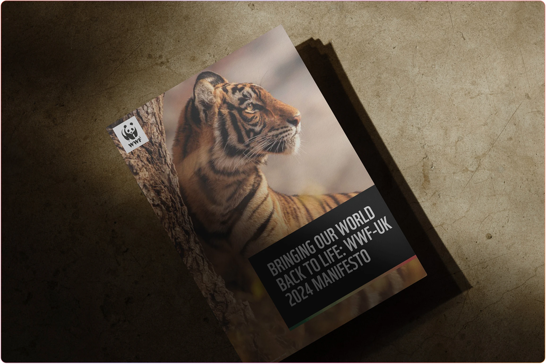 The 2024 WWF-UK Manifesto was distributed to members of the UK Parliament 