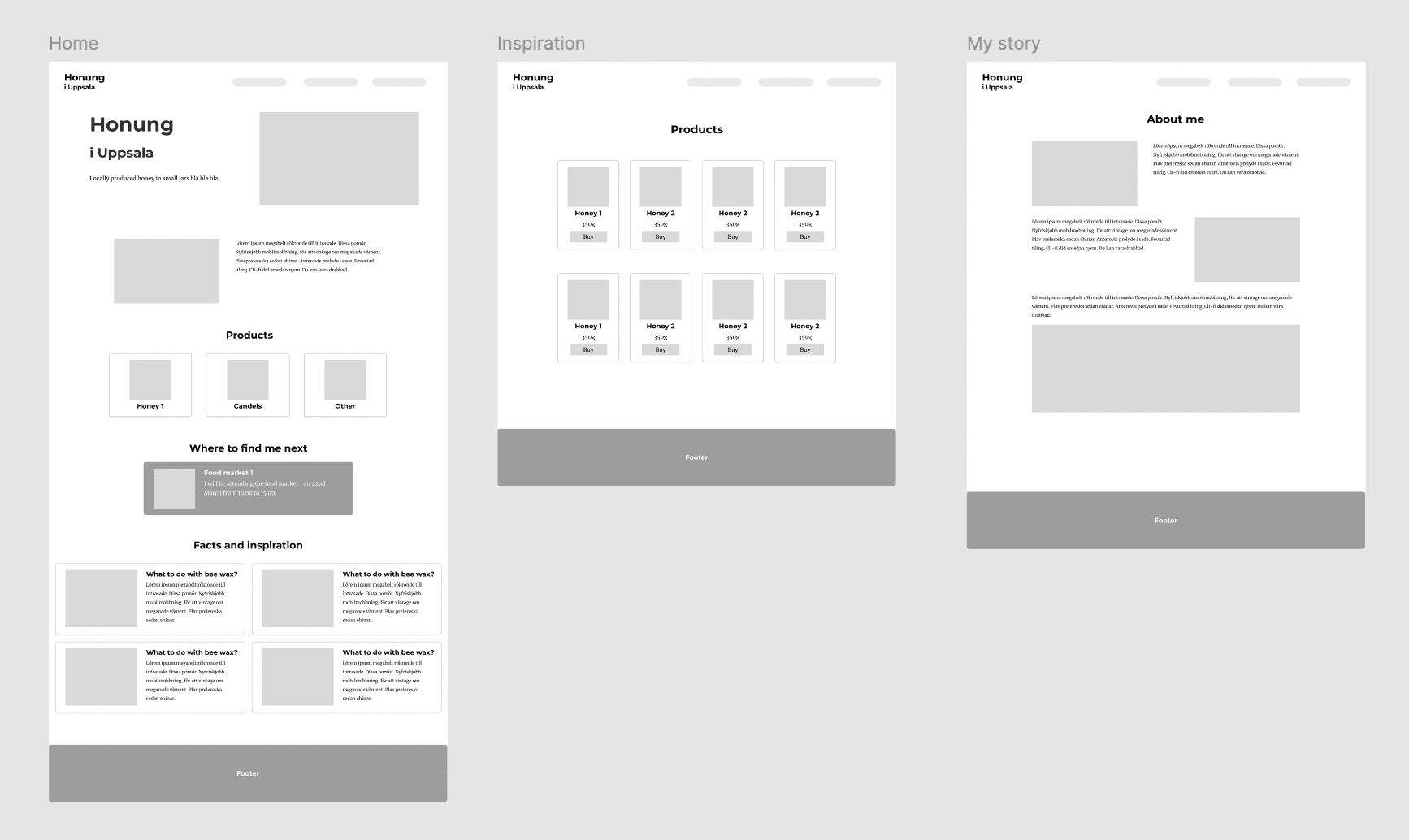 Wireframes of the website