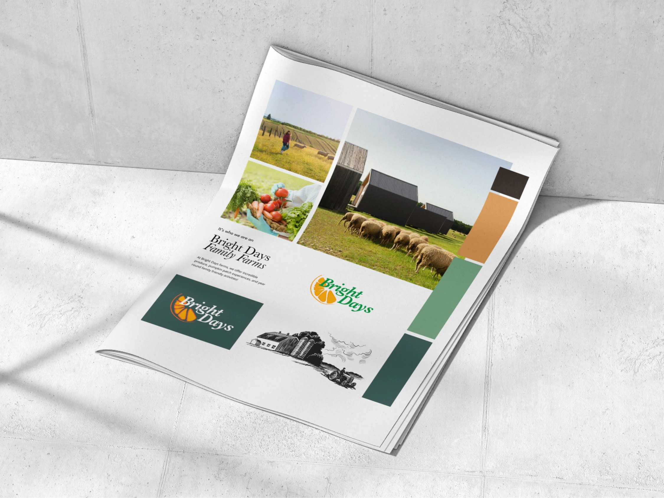 Family Friendly Farm Branding for Website