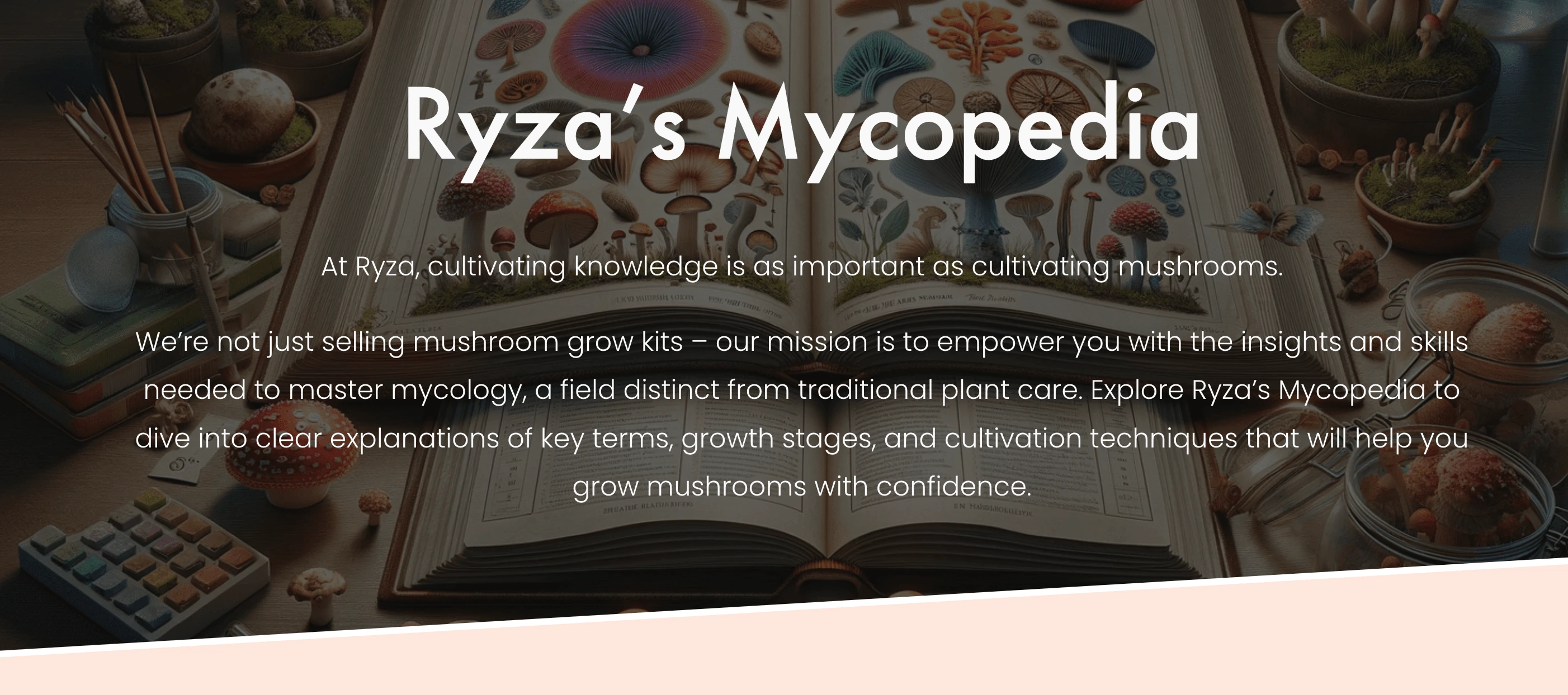 The creation of the Mycopedia