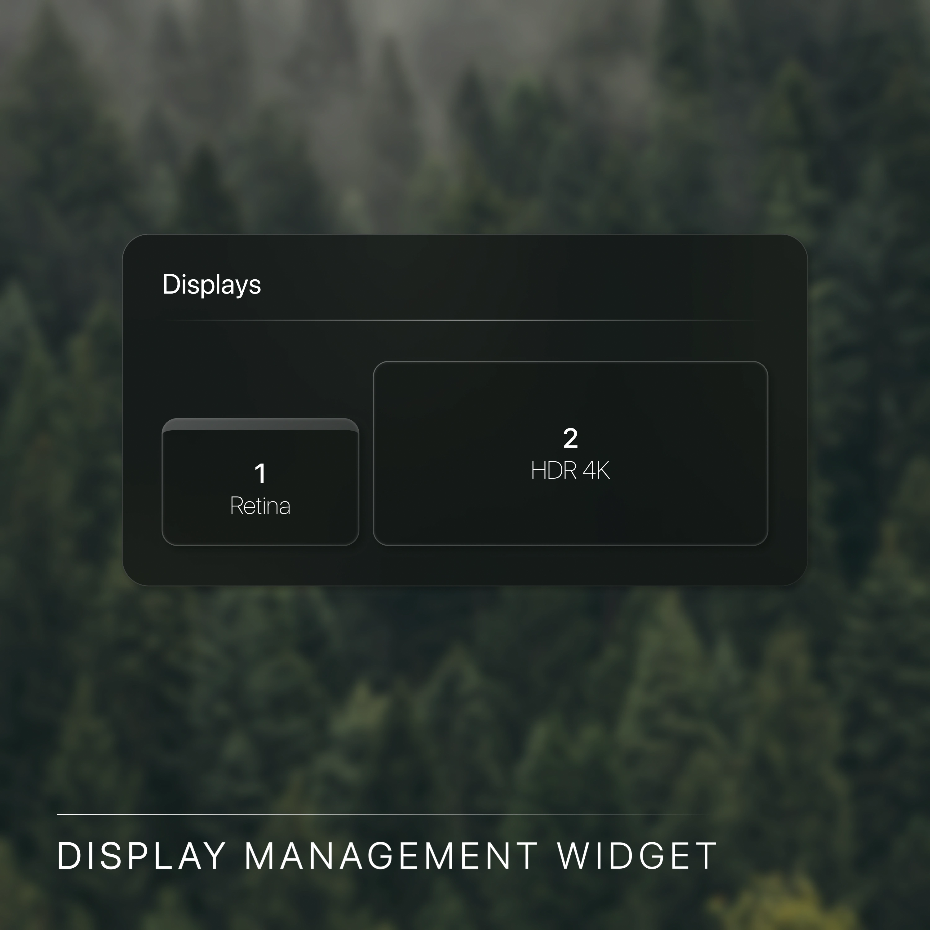 Display Management