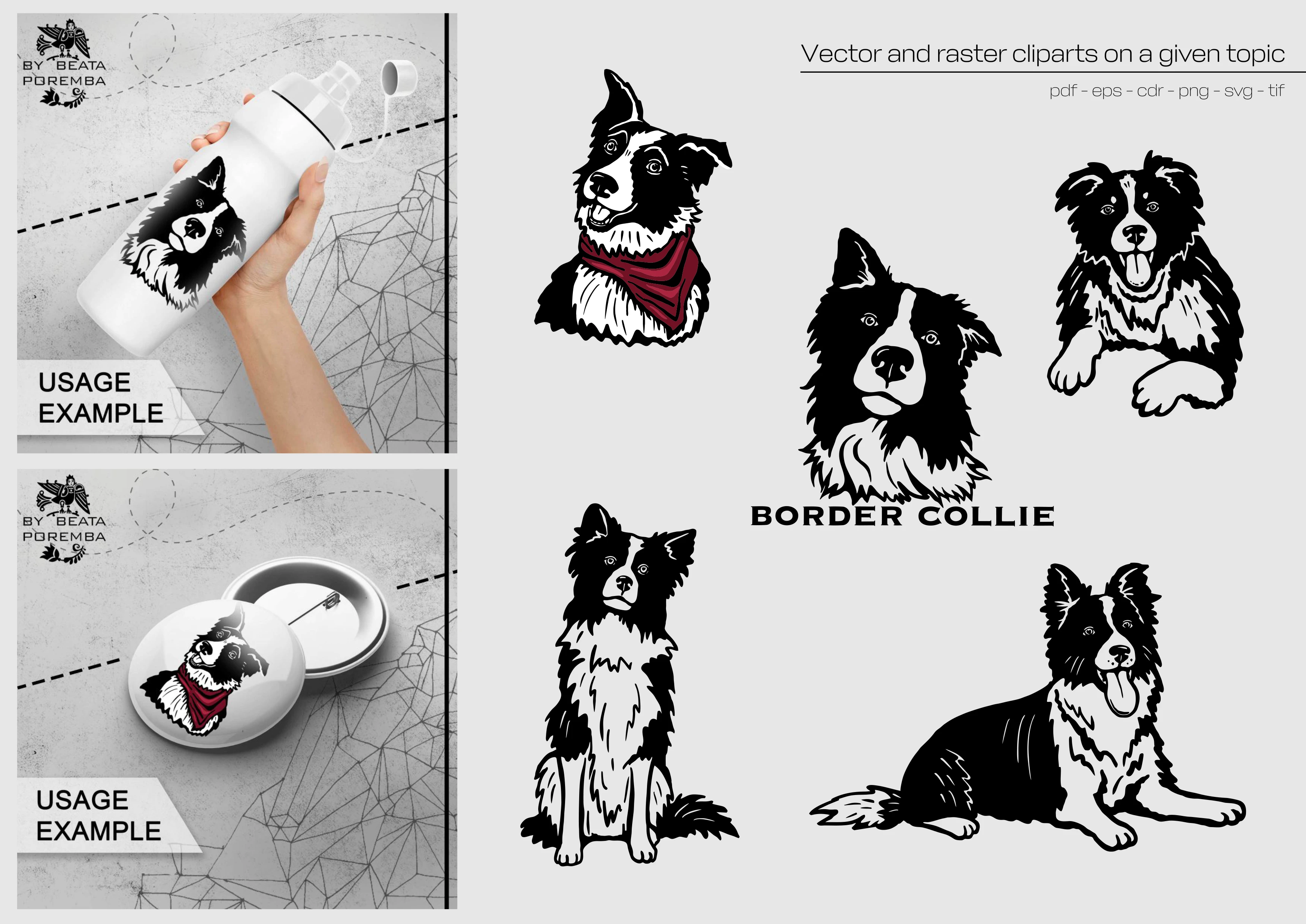 Merch design. Apparel. Dogs. Border Collie. Creating illustrations and examples of how to use.