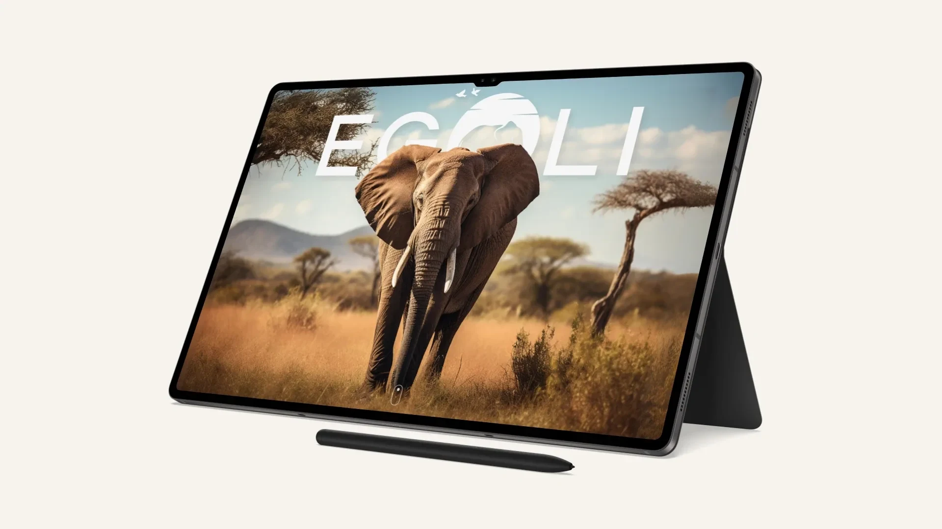 Egoli Tours Tablet Mockup