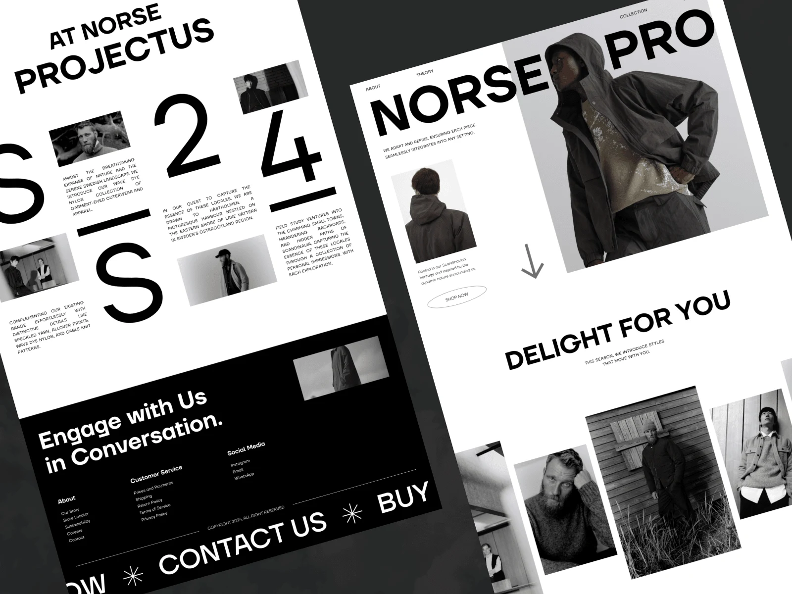 The Website Design Mockup for Norse Pro Brand