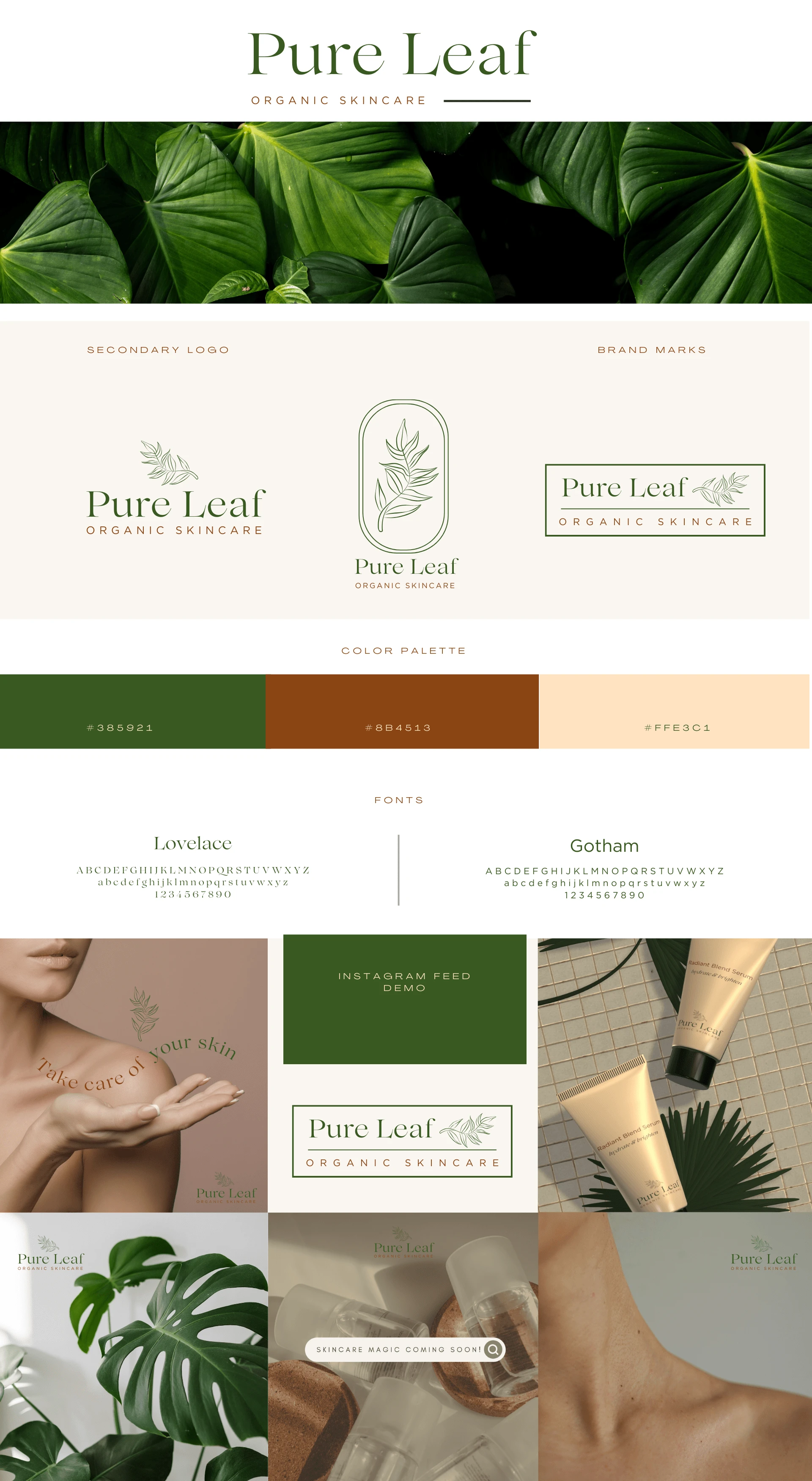 Brand Identity Kit + Instagram Content Theme