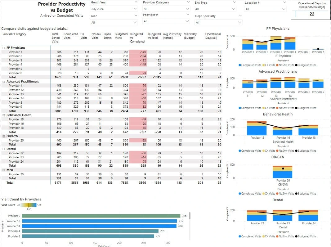 Provider vs Budget dashboard