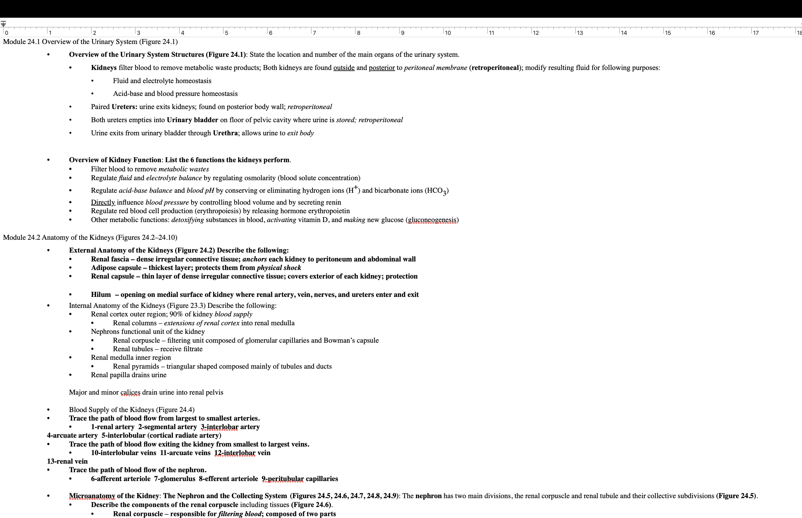 Medical Terminology outline I used to composed on a weekly basis for my team of 15 junior Medical Scribes.