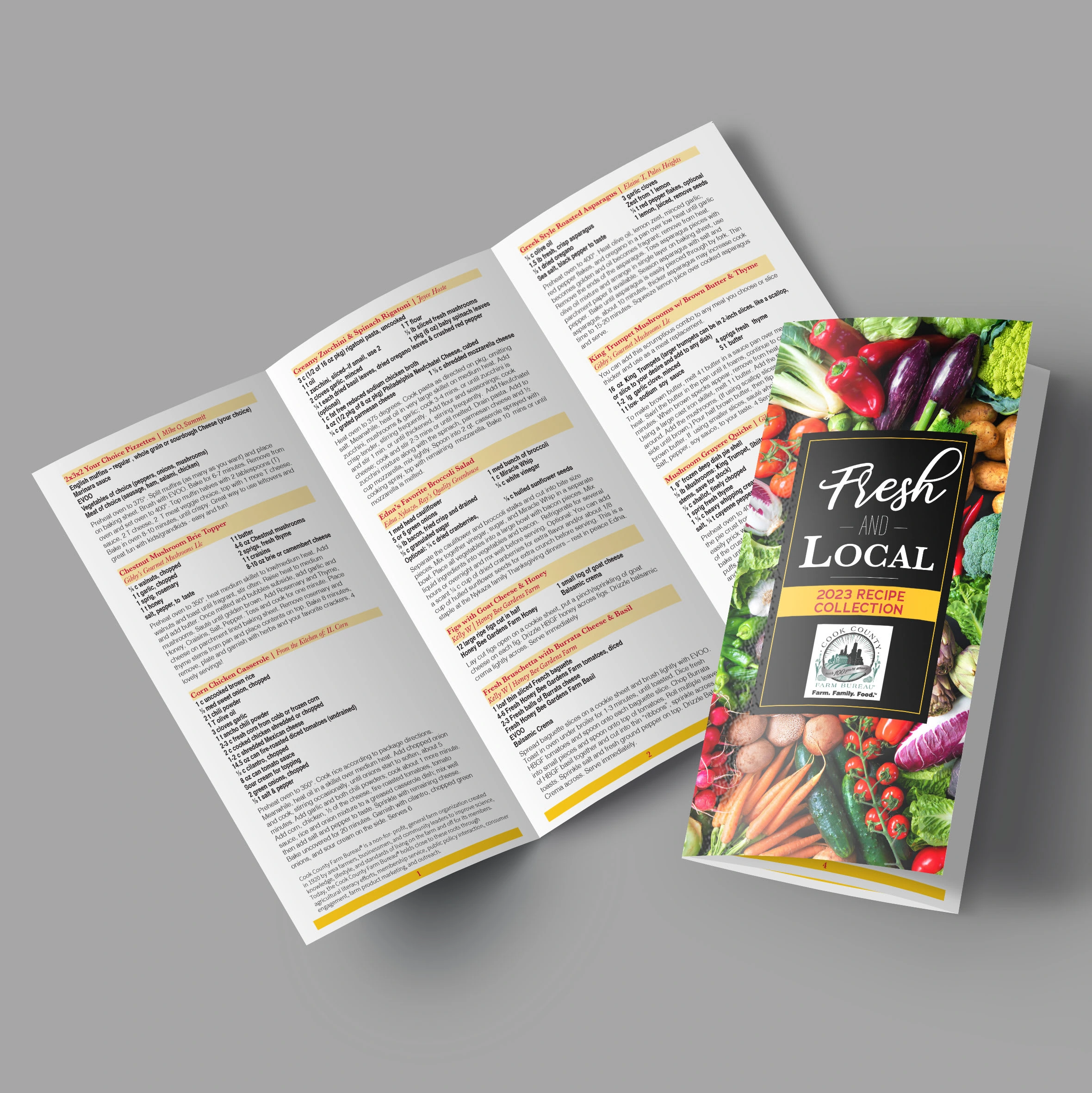 Tri-fold Brochure