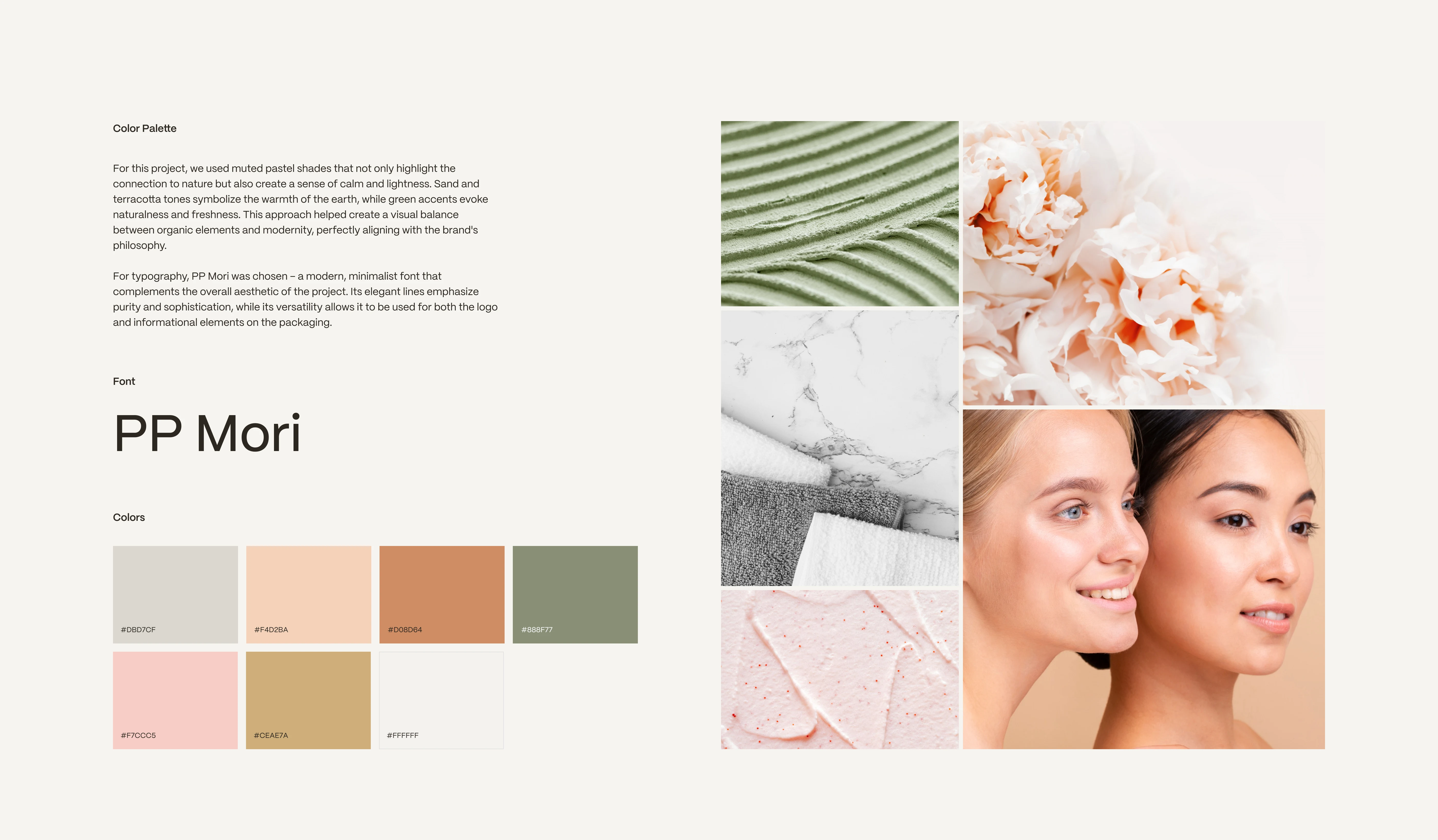 Typography and color palette