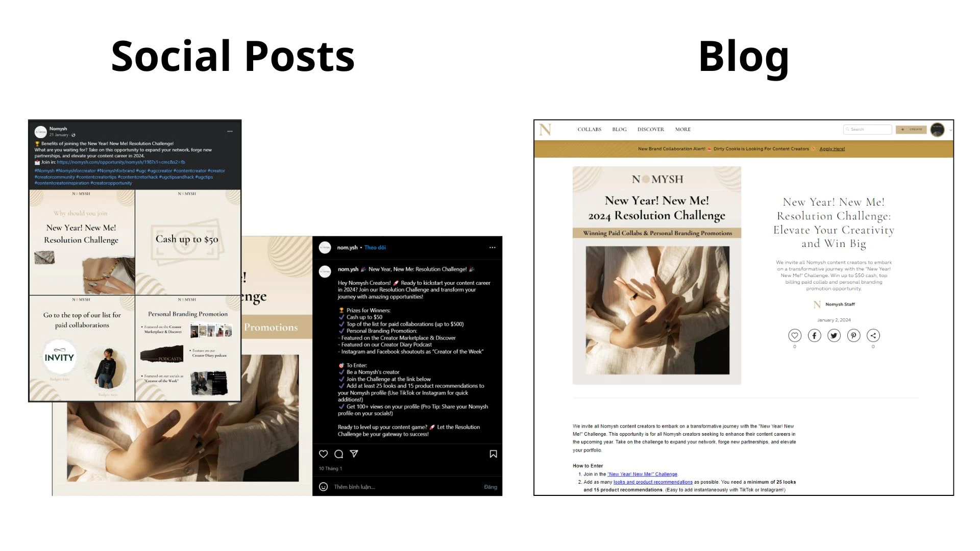 Social Posts & Blog