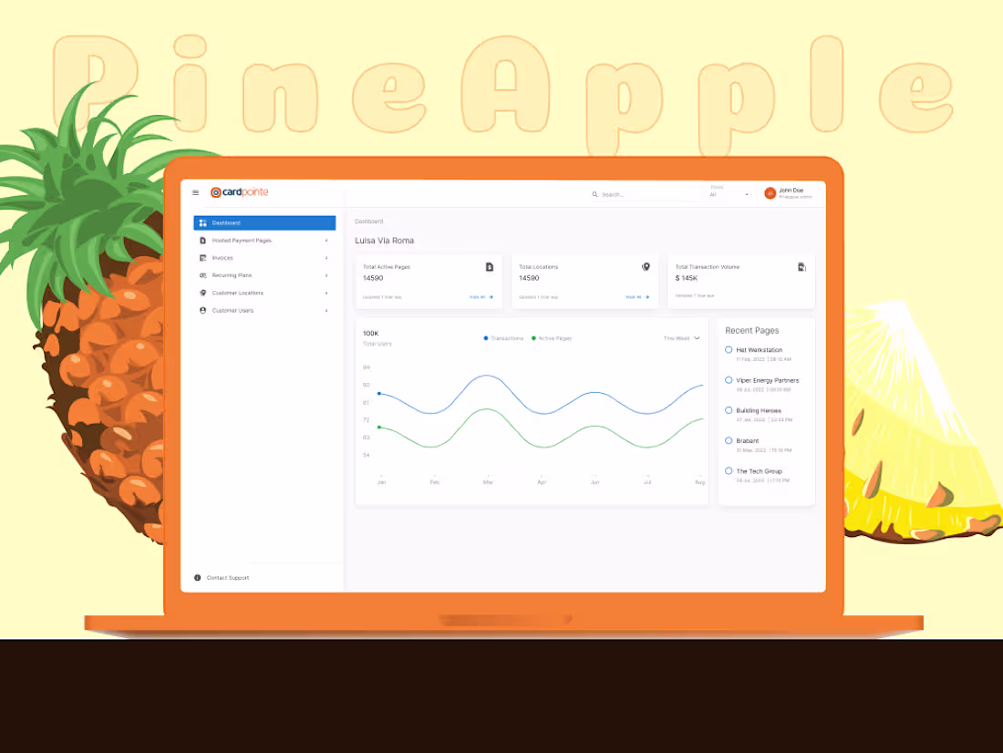 Cover image for PineApple Payments - Fintech Project - CaseStudy