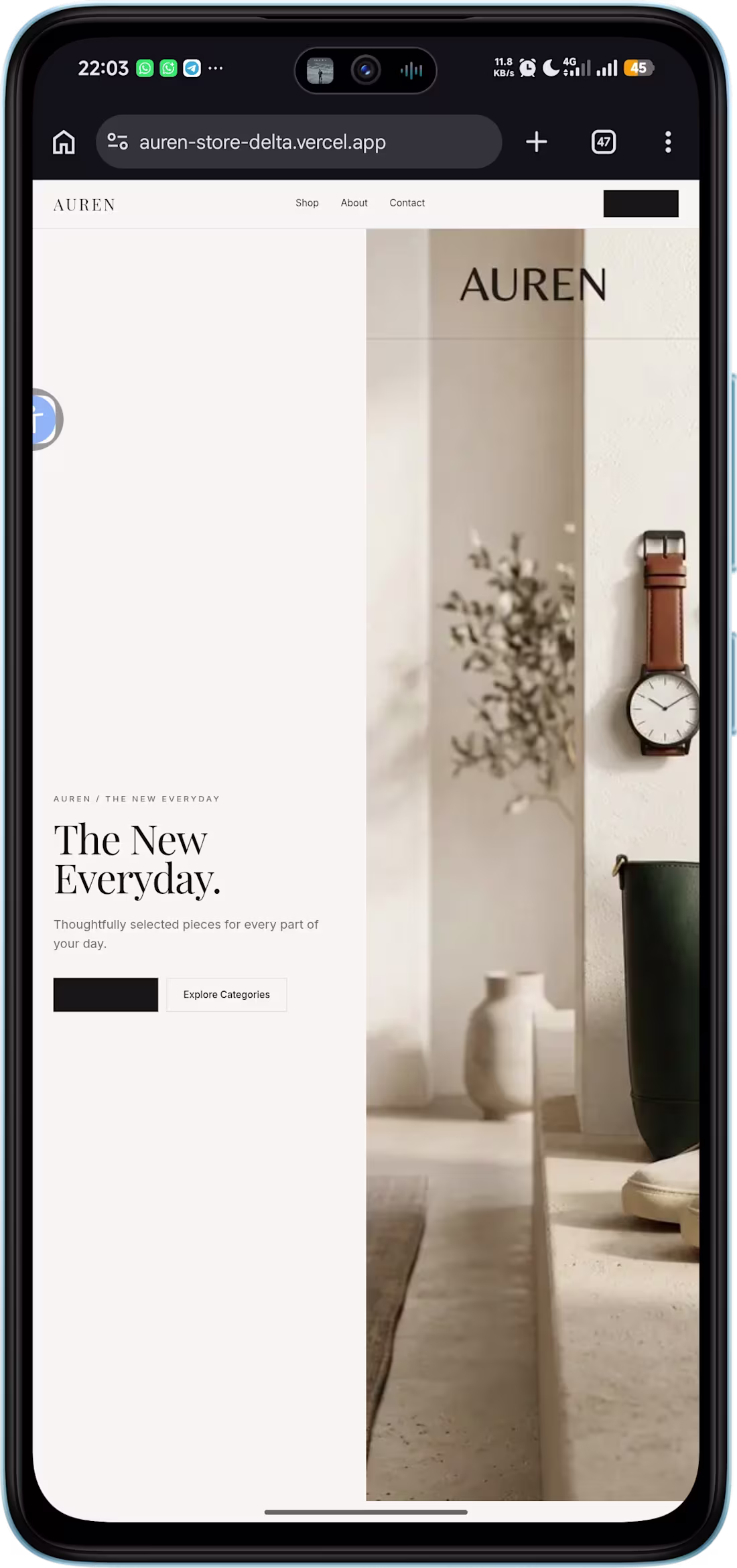 Cover image for AUREN — Premium Storefront
Built a
