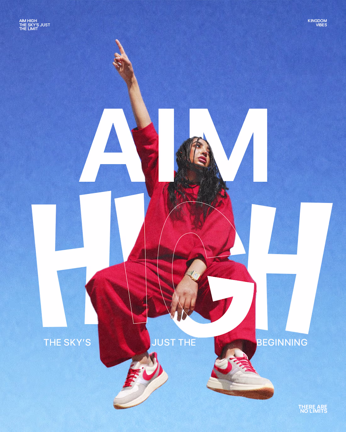 Cover image for Aim High. There Are No