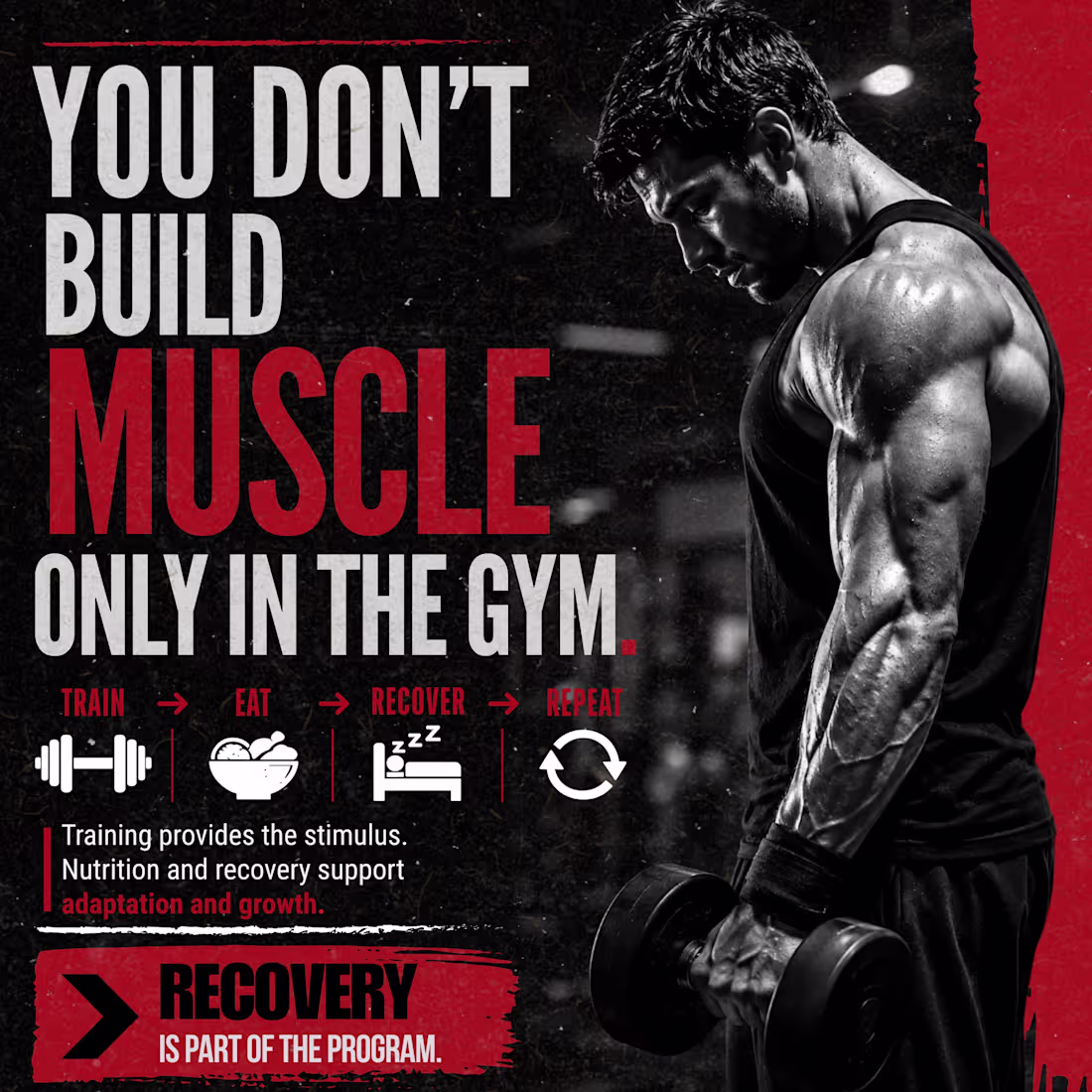 Cover image for A fitness-focused educational post explaining