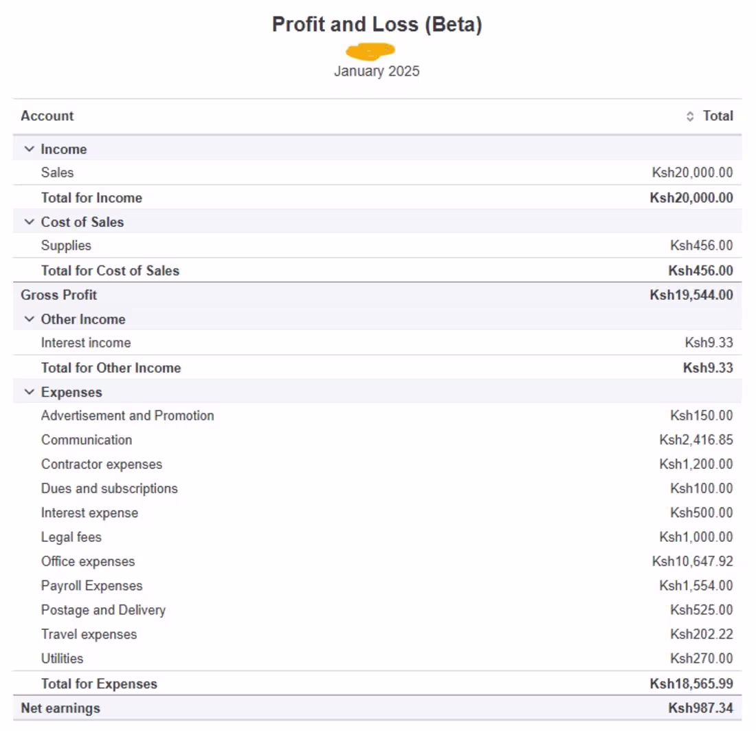 Cover image for Profit and Loss Statement