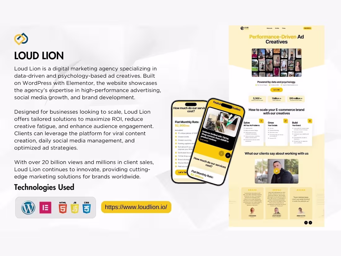 Cover image for Loud Lion — a data- and psychology-driven ad agency