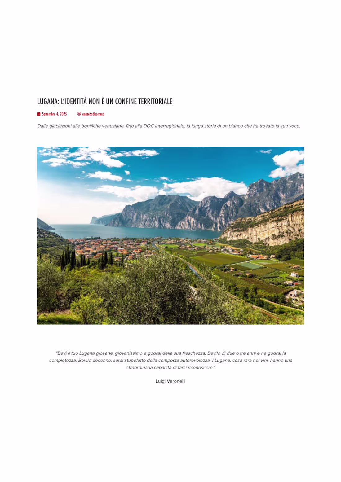 Cover image for A long-form editorial feature on