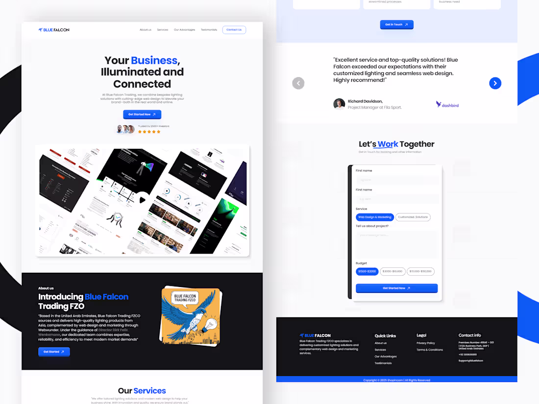 Cover image for Blue Falcon - Website UI UX Design