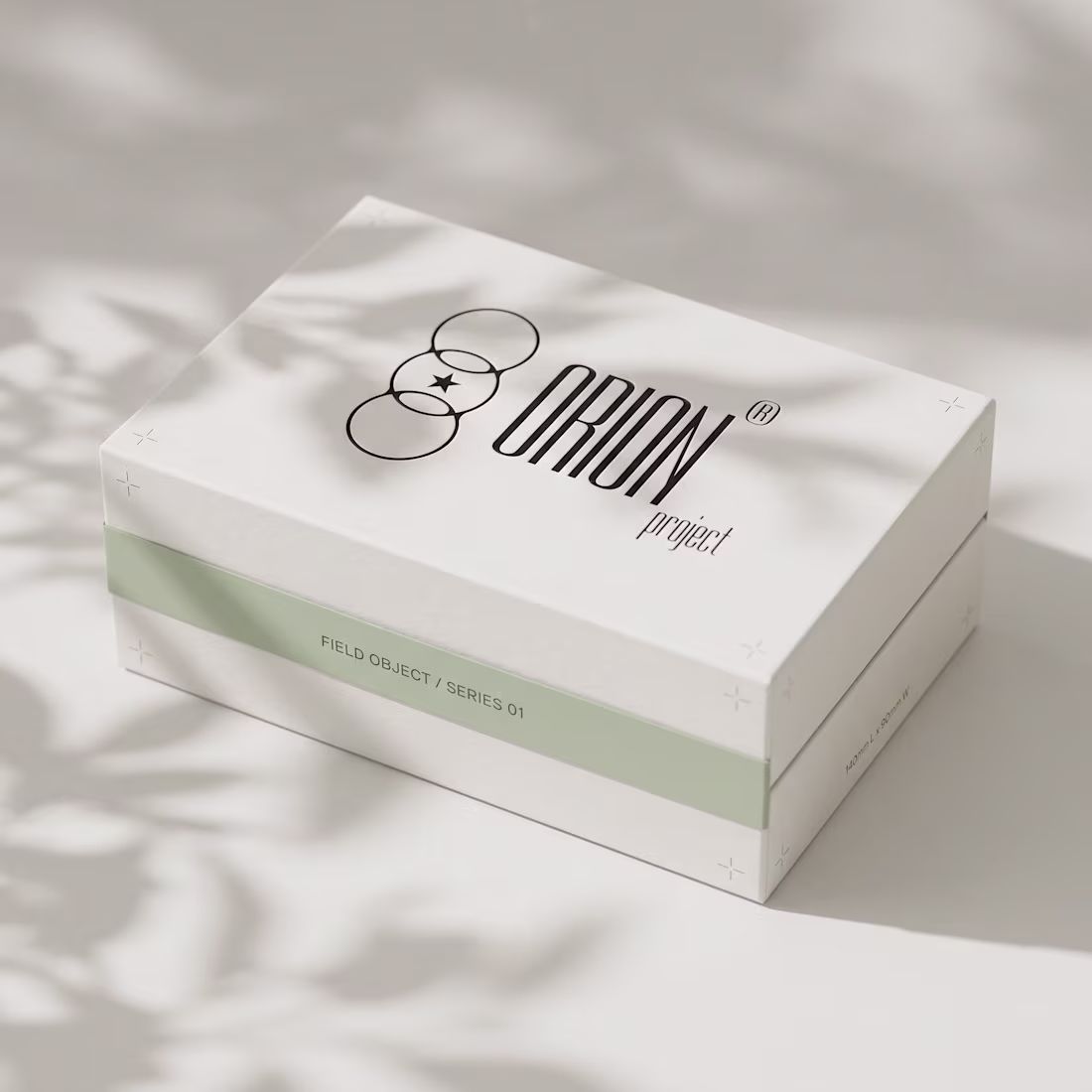 Cover image for Orion Brand Identity Project