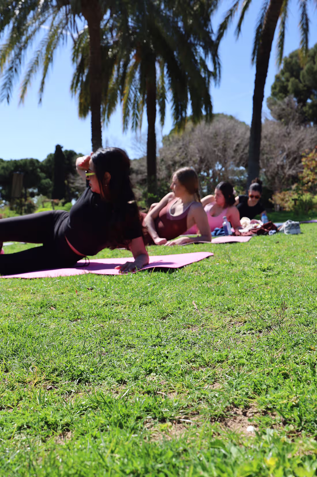 Cover image for Wellness content package