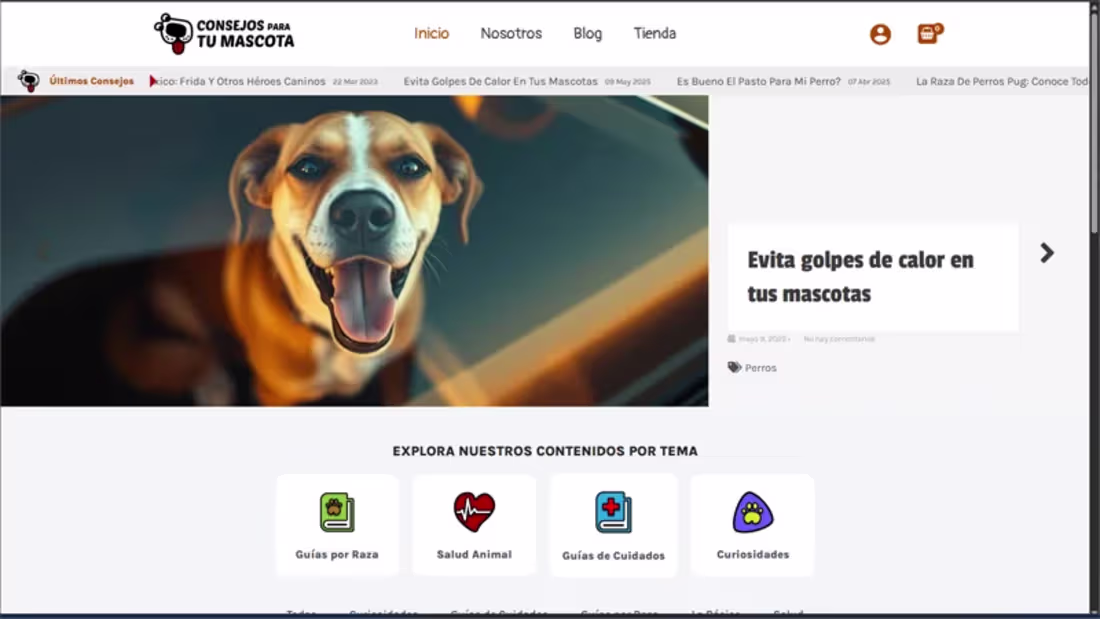 Cover image for Consejos para tu mascota