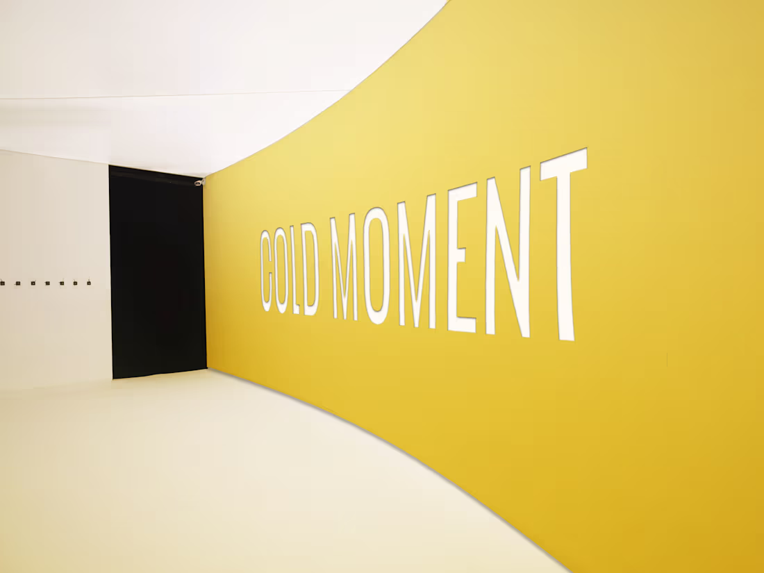 Cover image for COLD MOMENT