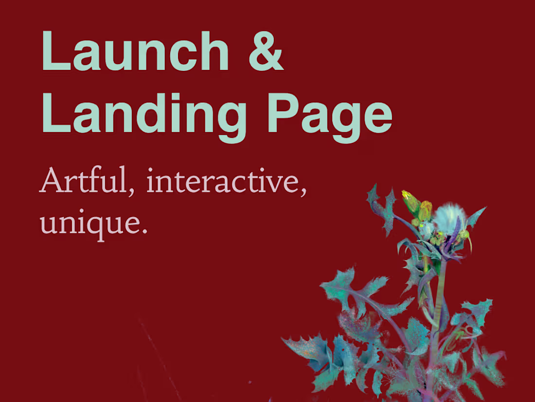 Cover image for Launch & Landing Pages