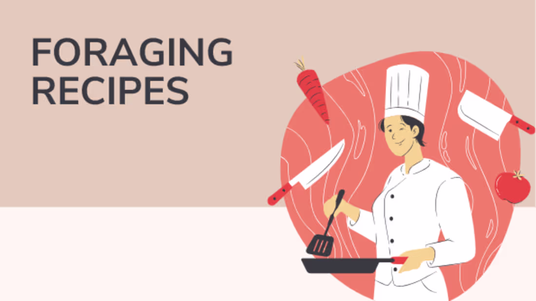 Cover image for Foraging recipes