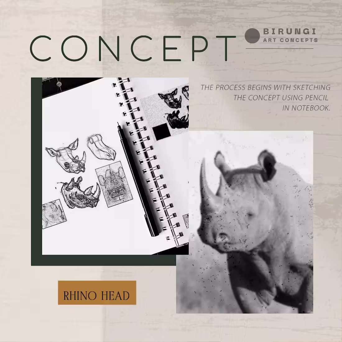 Cover image for Birungi Metal Art Concepts -