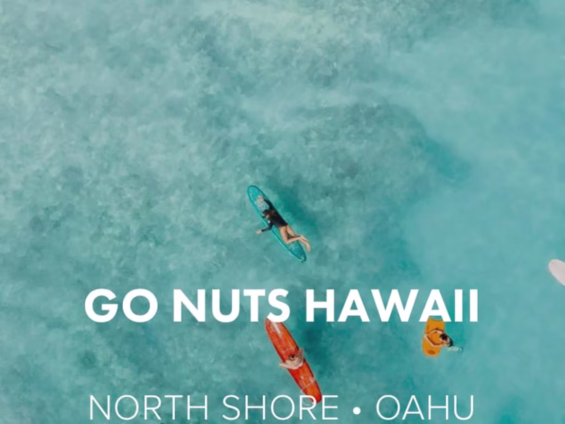 Cover image for Gonuts Hawaii