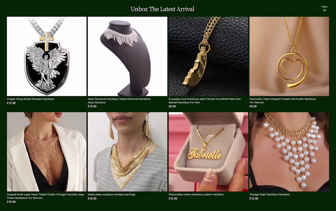 Cover image for Bigloux Shopify Website