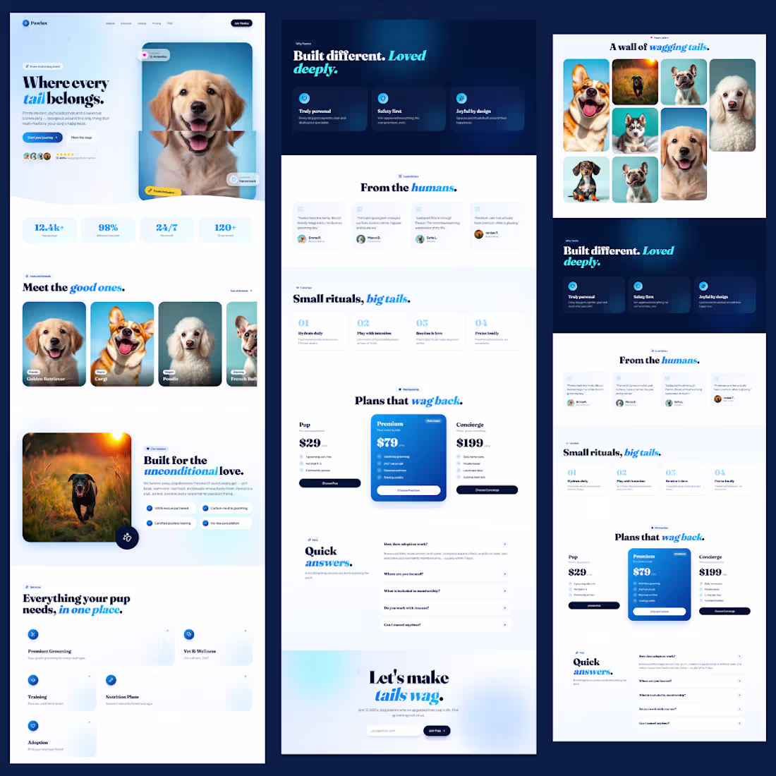 Cover image for A modern pet care landing