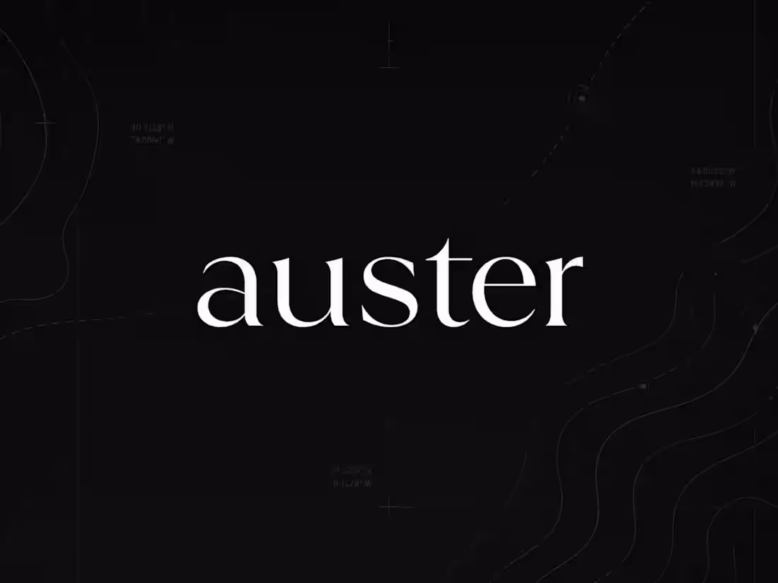 Cover image for Auster Network