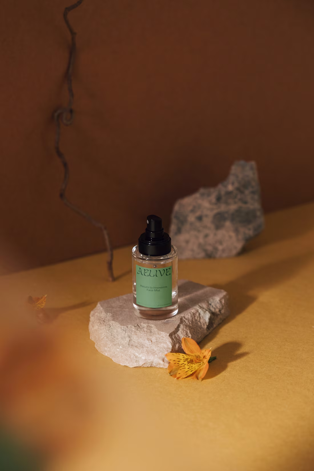 Cover image for Aelive