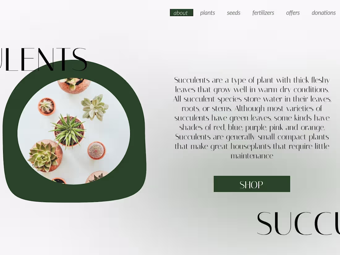 Cover image for Designing visually appealing websites 