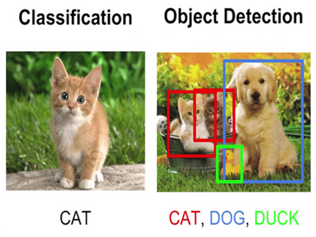 Cover image for Image Classification and Recognition