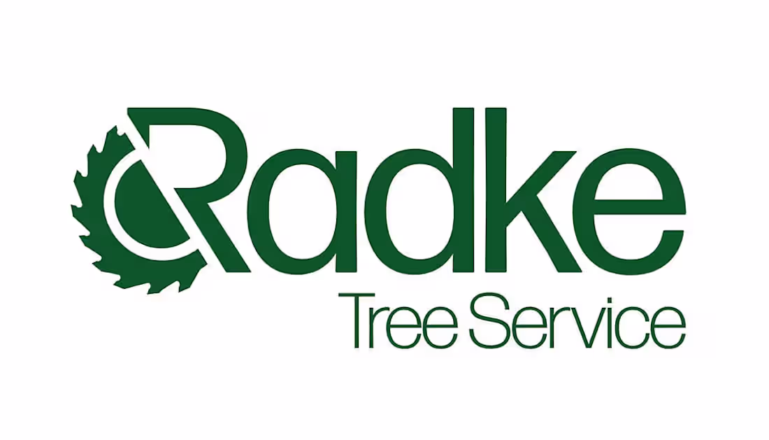 Cover image for Logo Design