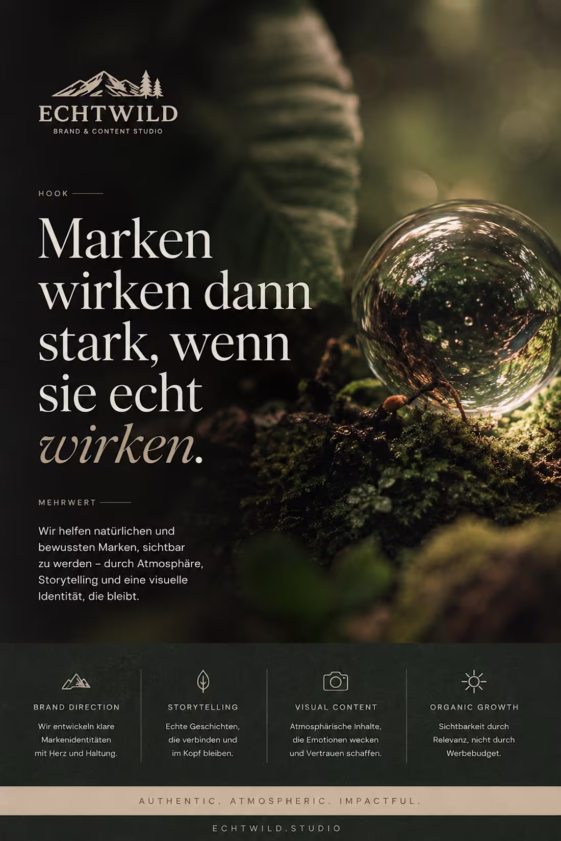 Cover image for Brand Storytelling & Visual Identity Design