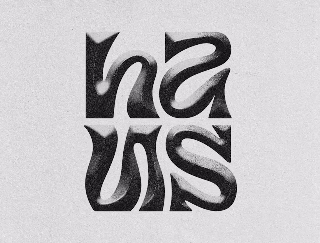 Cover image for HAUS