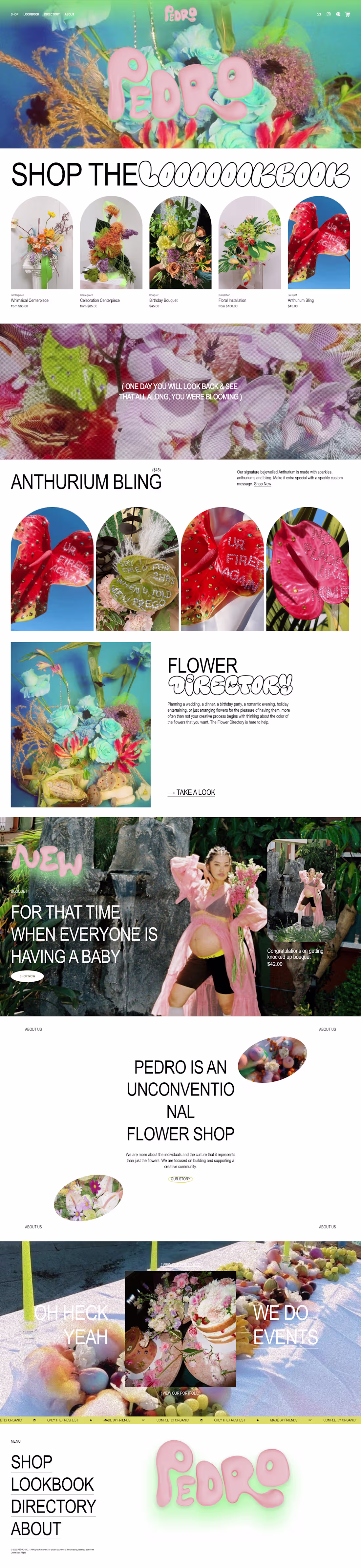 Cover image for Case Study: Pedro Flower Shop  💐