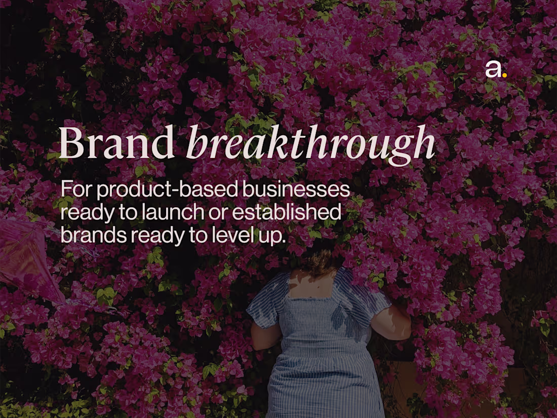Cover image for Brand breakthrough
