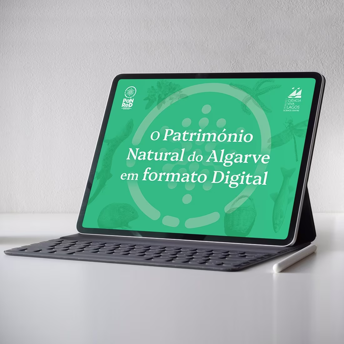 Cover image for THE NATURAL HERITAGE OF THE
