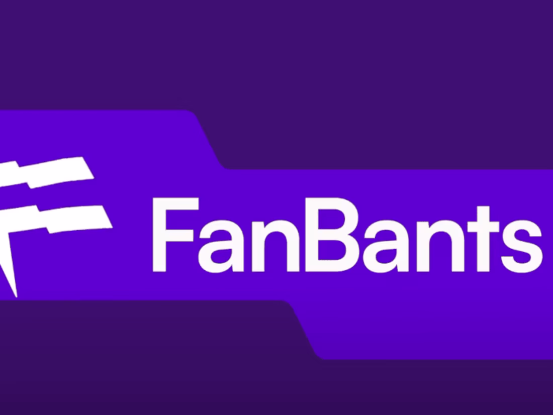 Cover image for FanBants Explainer