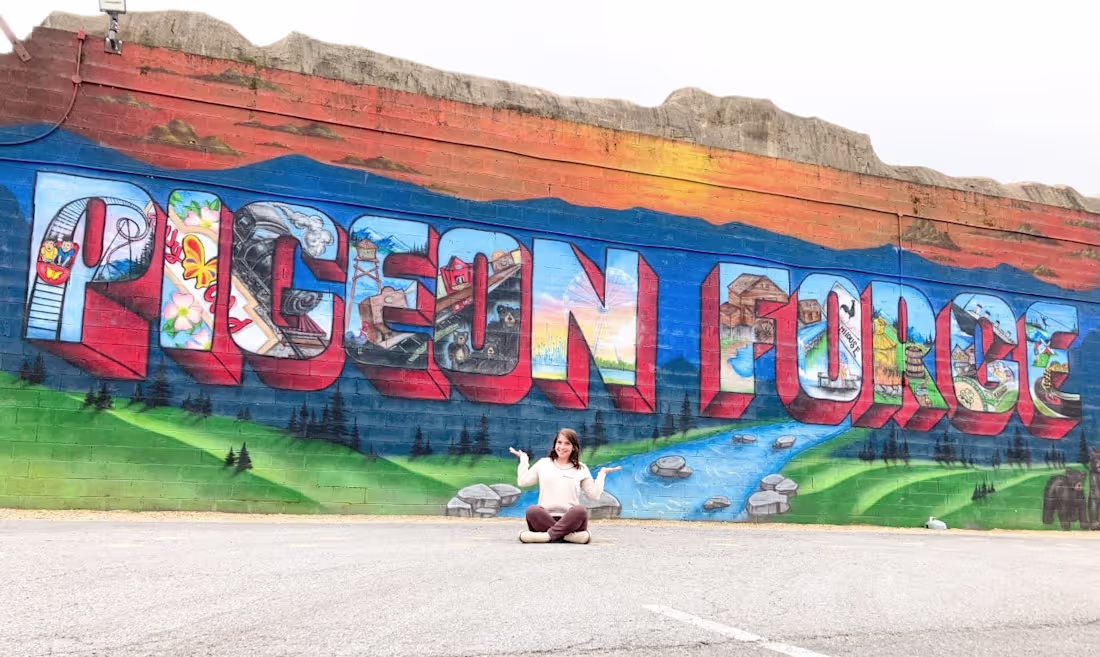 Cover image for The Best Photo Ops in the Smokies