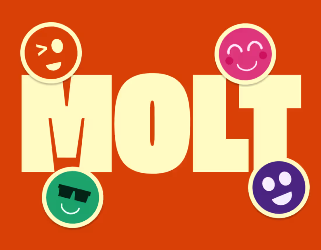 Cover image for MOLT Chocolate Bar - Product Packaging design
