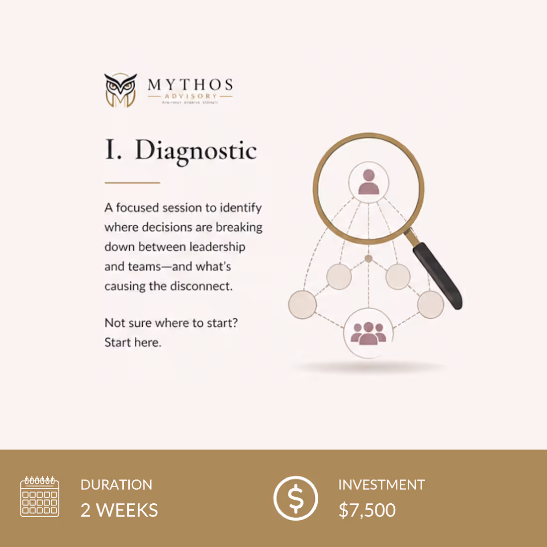 Cover image for Strategic Diagnostic